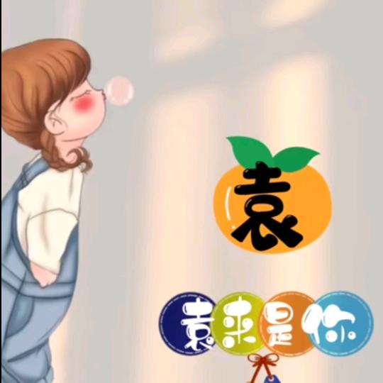 一枝多肉(请勿连赞)