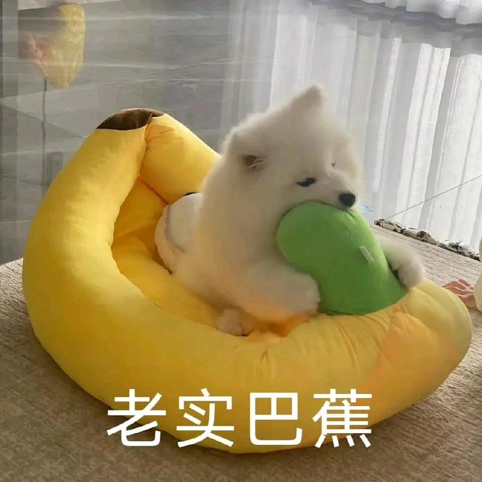 一粒星