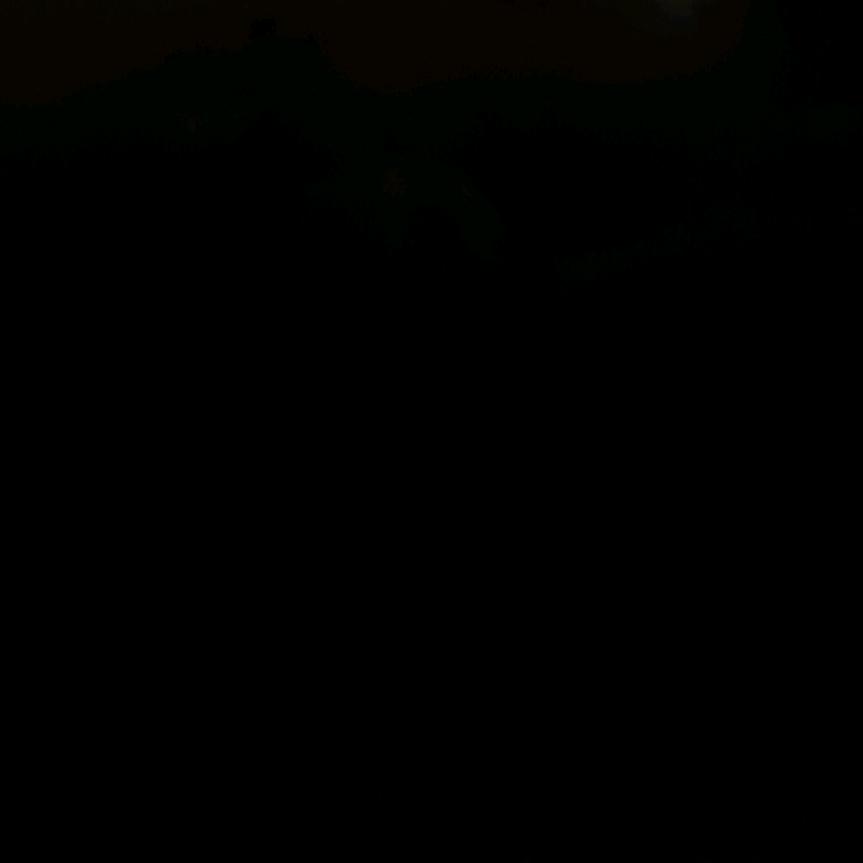 陈、