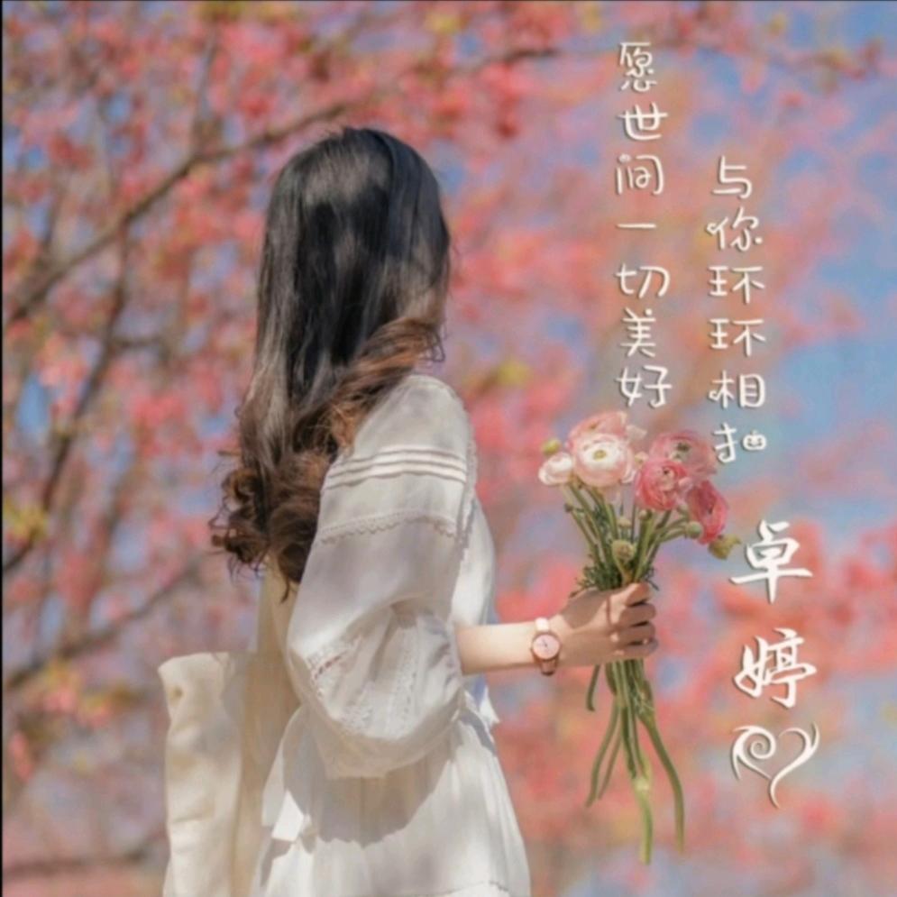 终于💖忠于꧔卓