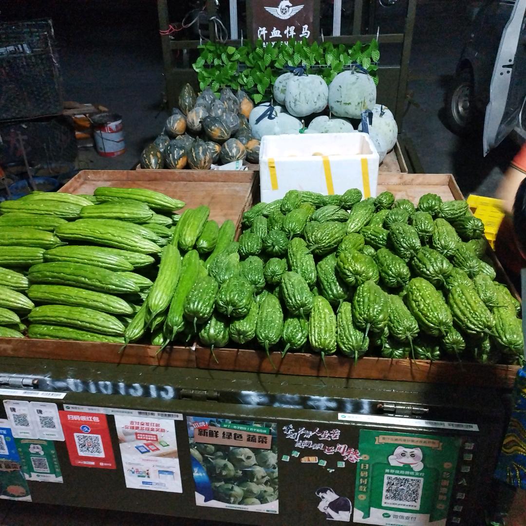 🐍大沙地头蛇🐍