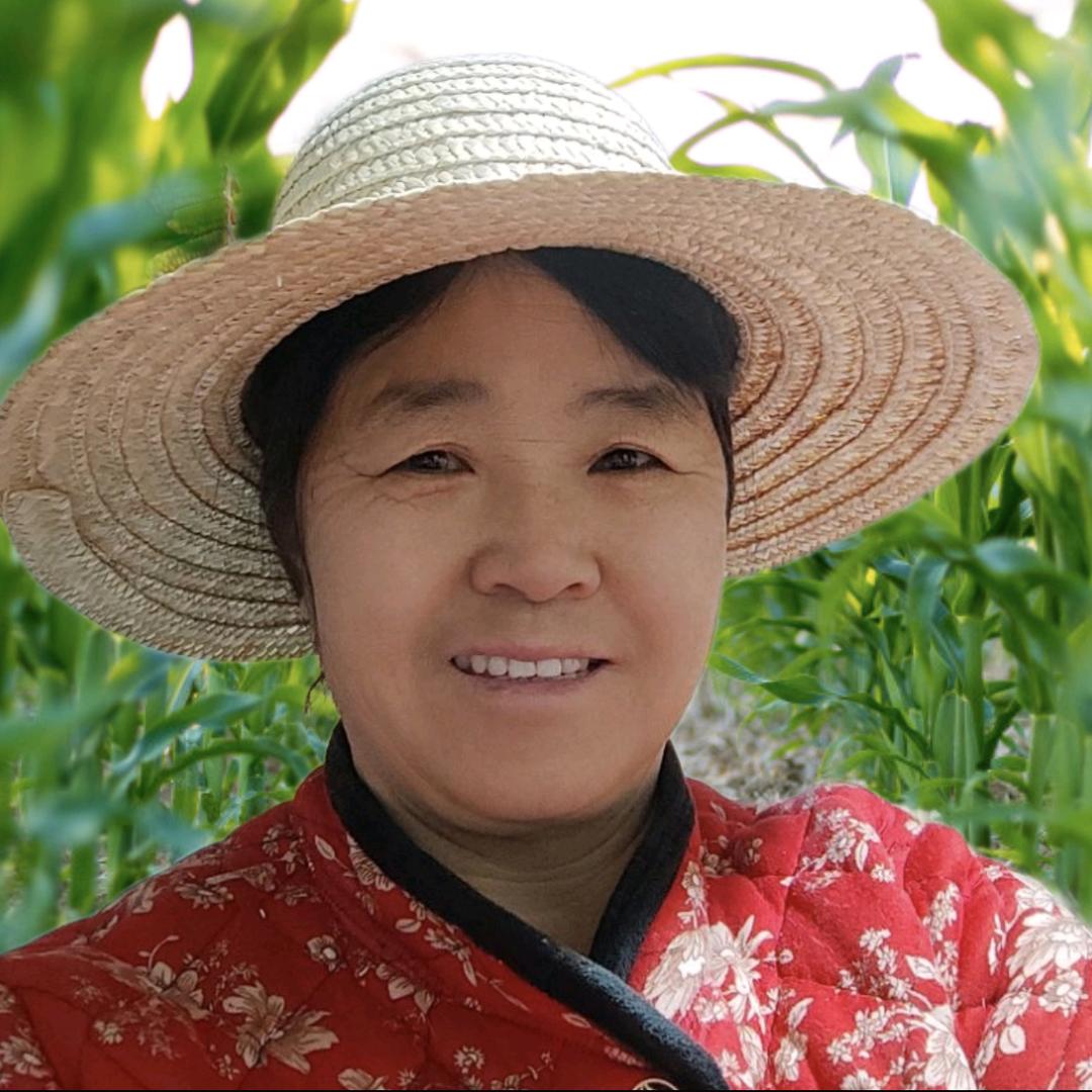 玉米姐