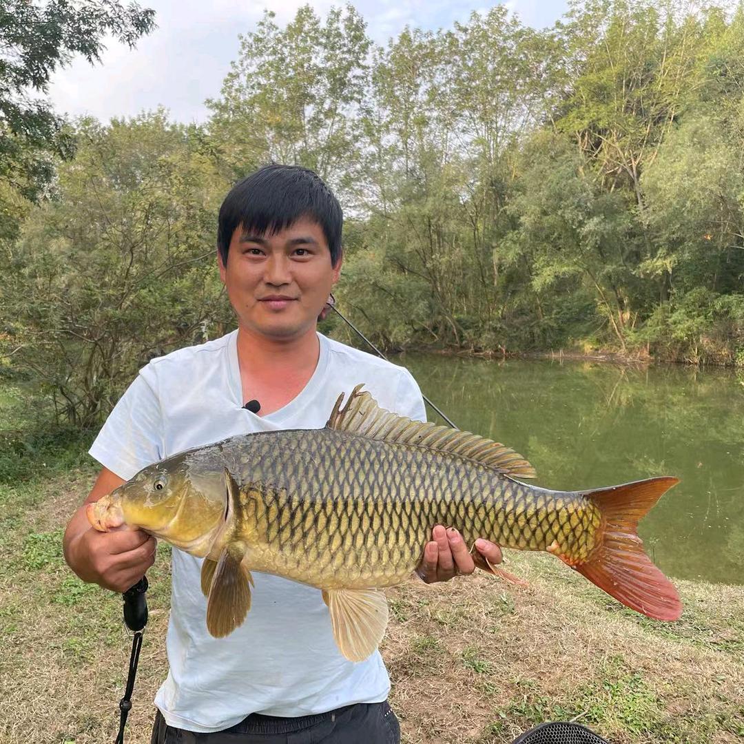 钓鱼怪咖