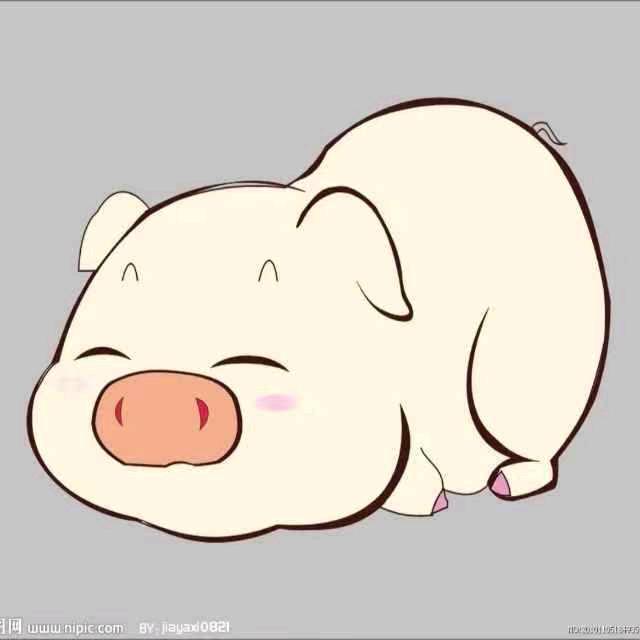 天猪(跑互)