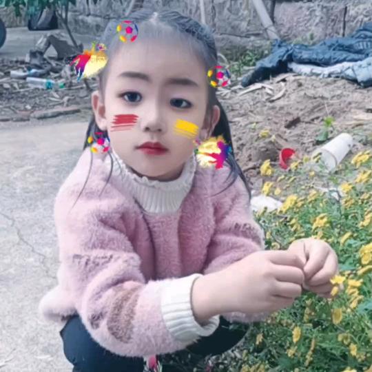 淑娇