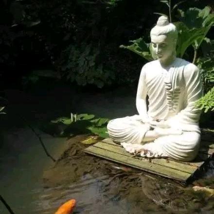 一亩良田节水灌溉