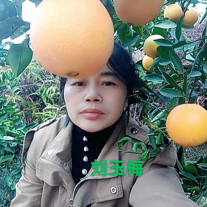 红橙🍊故事