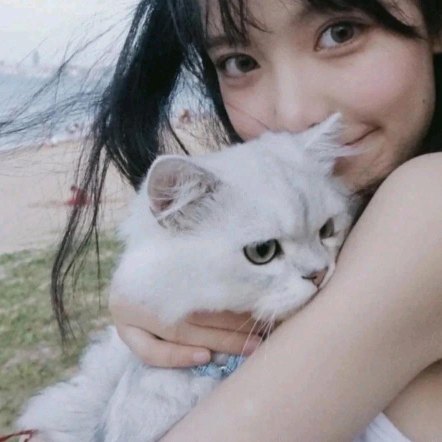 小何🐰