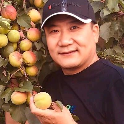 民歌