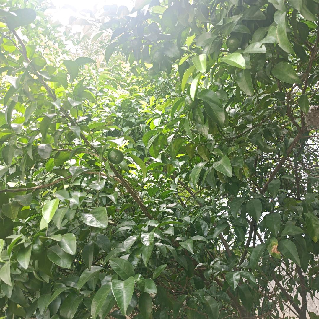 世界上最好的人