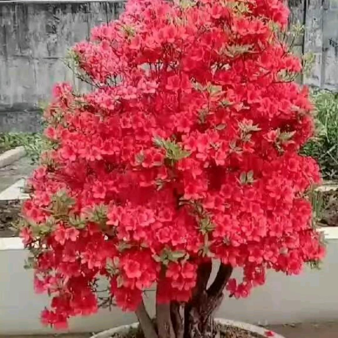 幽灵惊魂