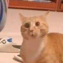 棨人。