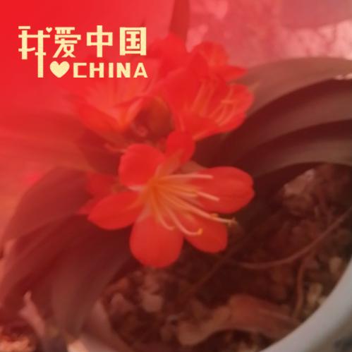 ە秀冰宇