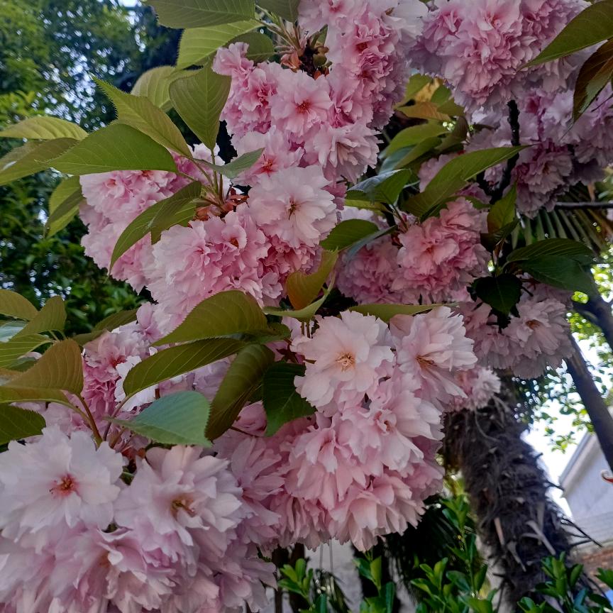感悟