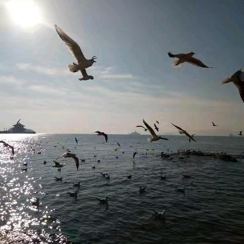 海产精品赔光店