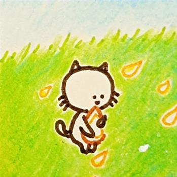 皮皮猫meow