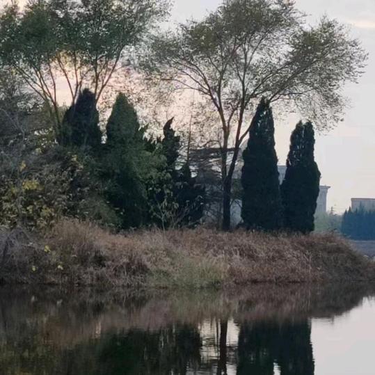 青岛晶碧卫浴批发吕哥