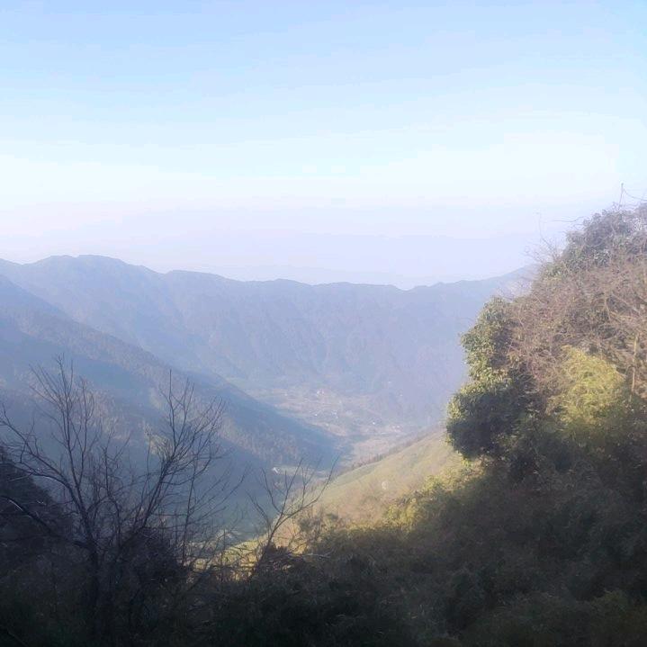 梦晨杨先生