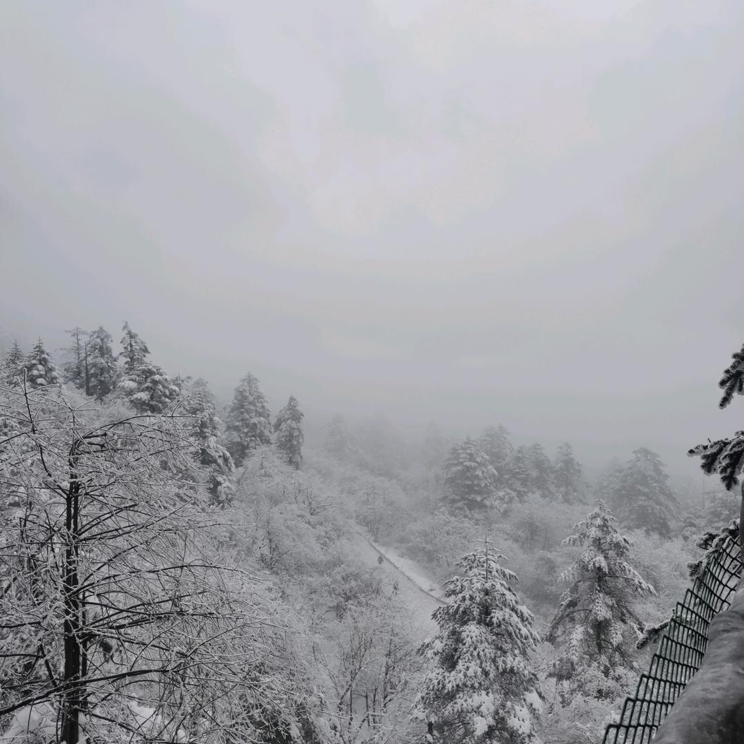 风雨之后见彩虹