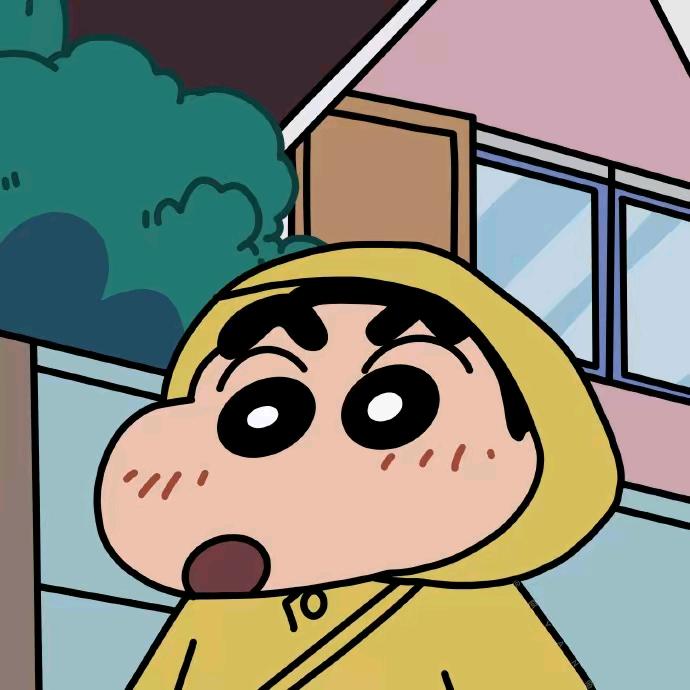 一只cute野猫