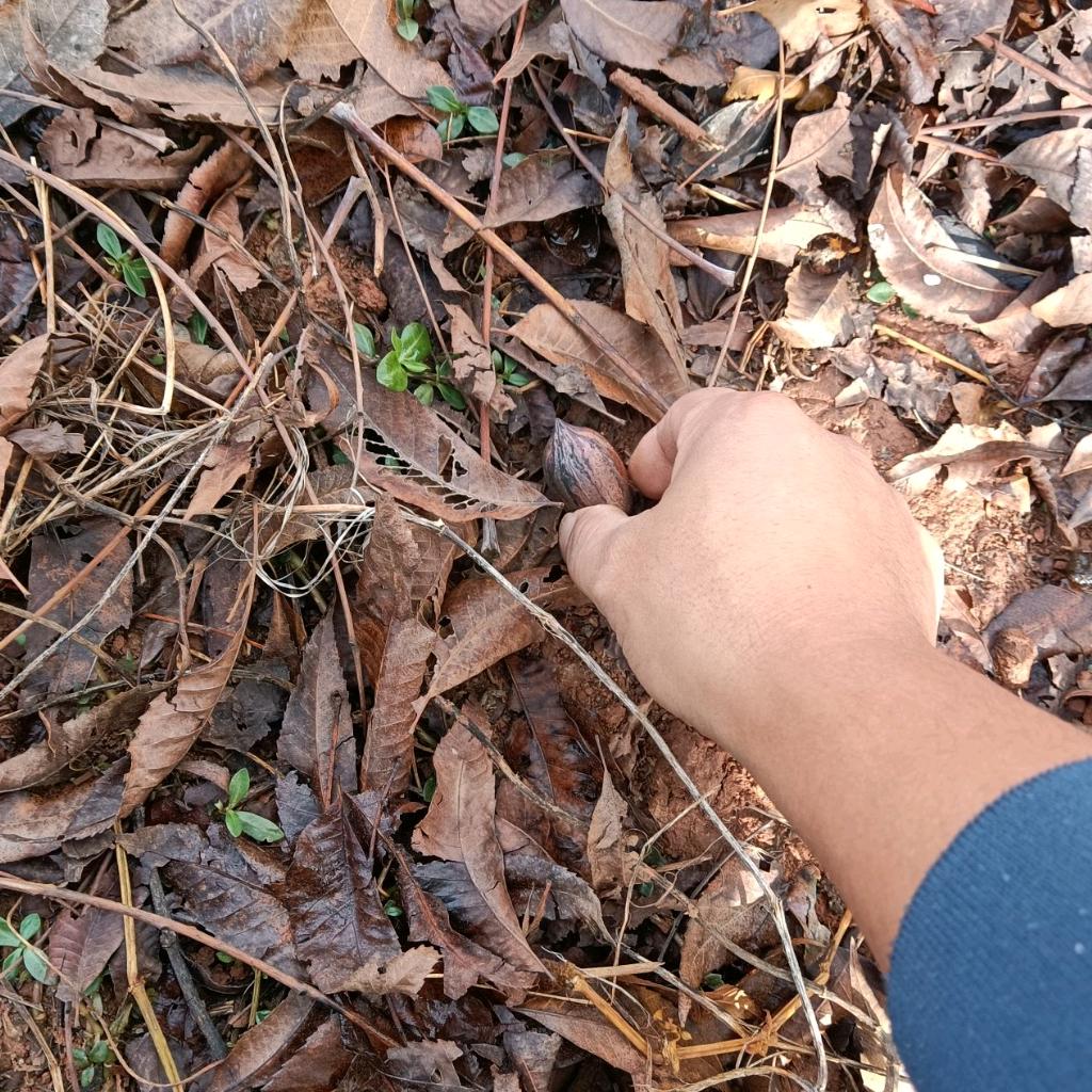 普通人的生活日常