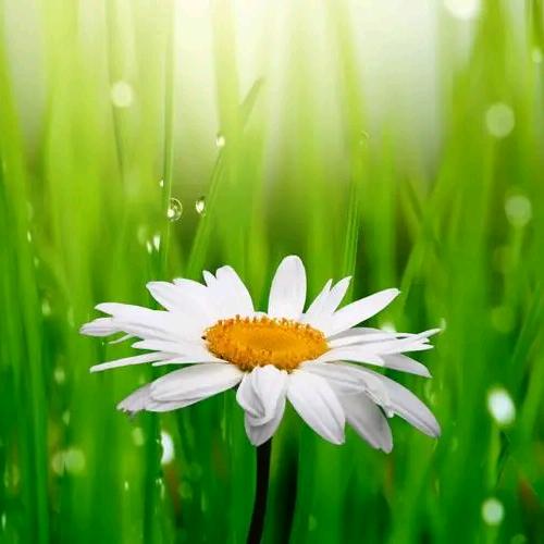 素颜的我你们能接受吗？