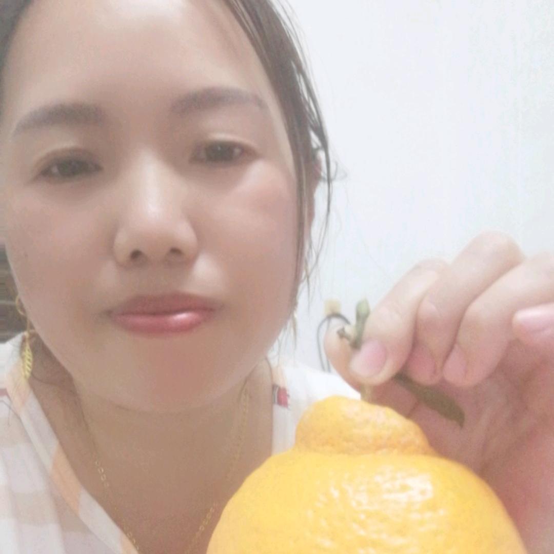 醋坛子《杨》