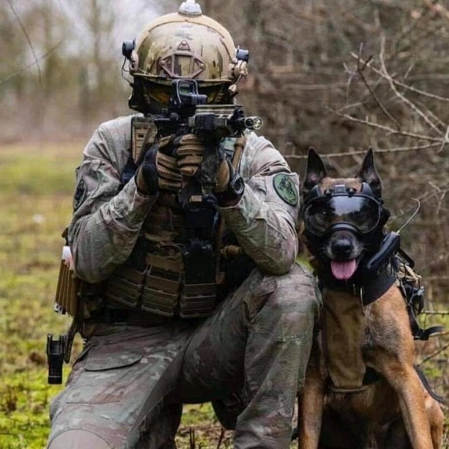 南阳战狼训犬基地