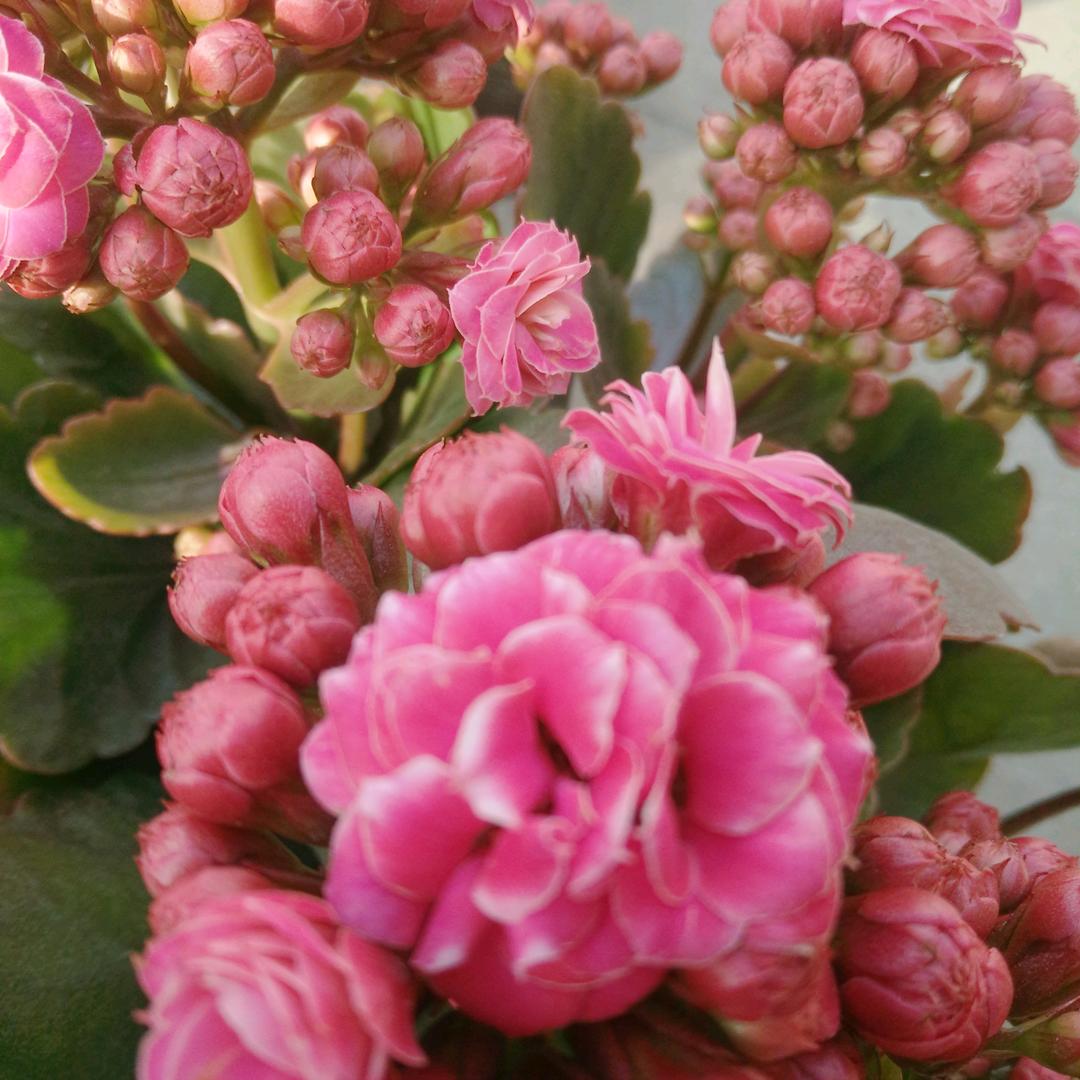 细品岁月💐🍀✨