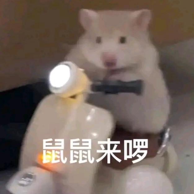 无敌Along