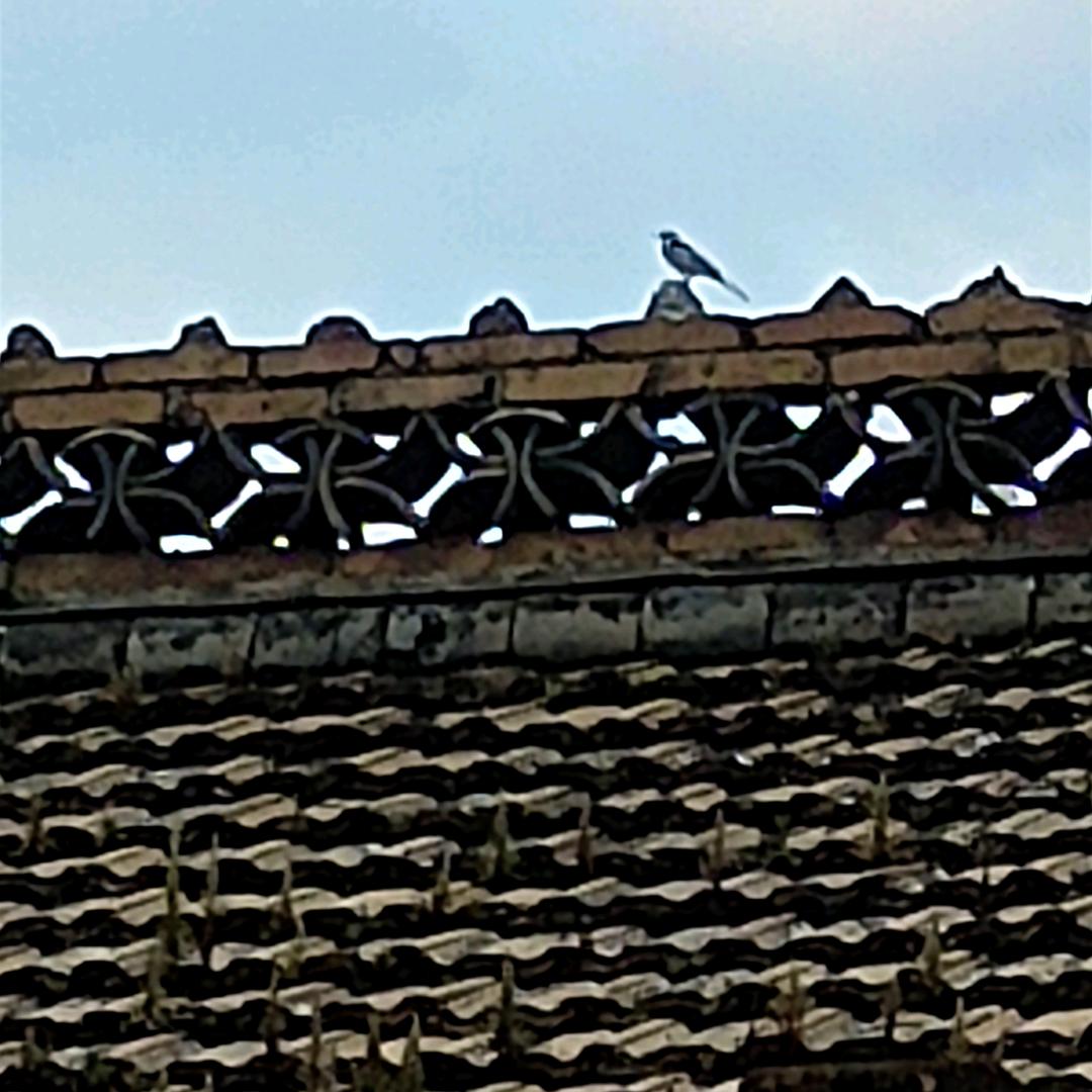 岁月流转的痕迹