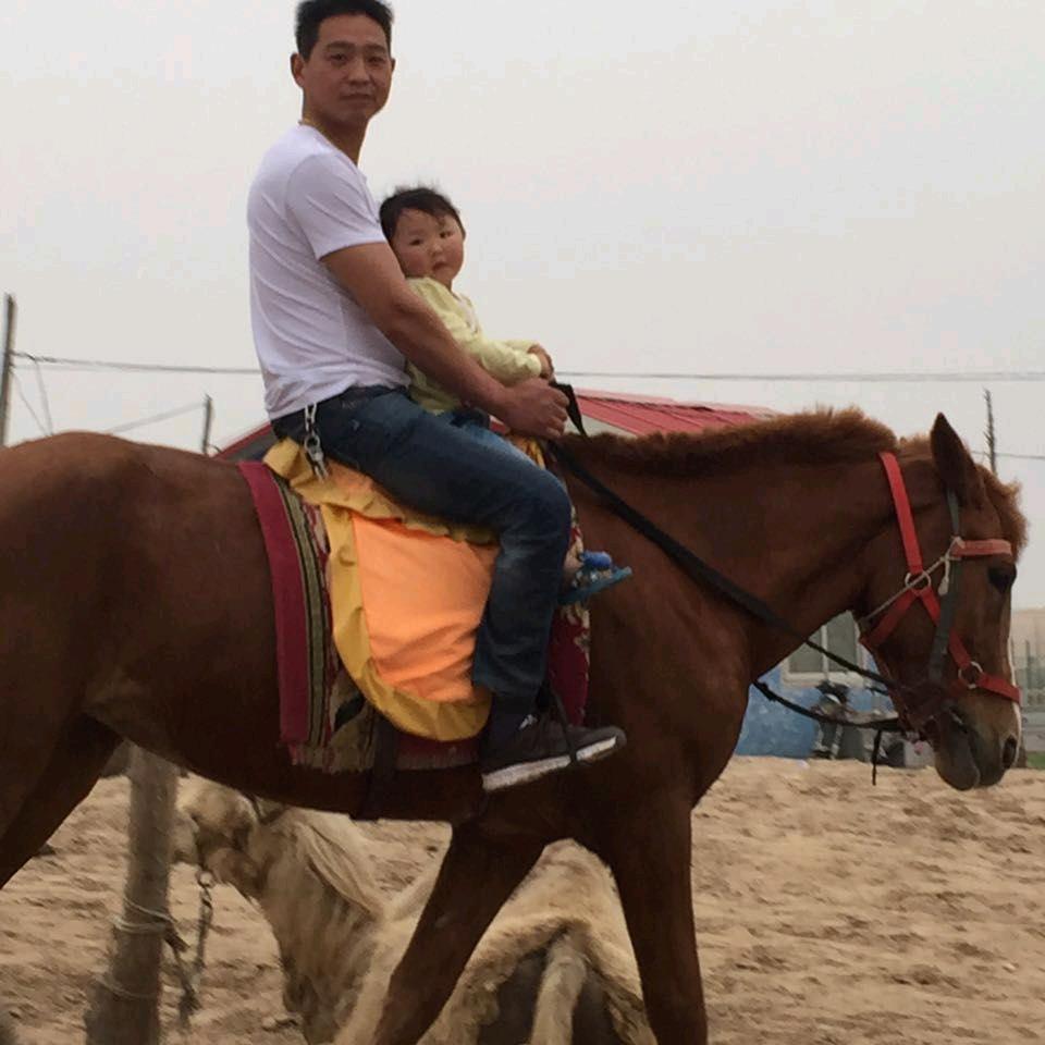 李总是在拉猪的路上