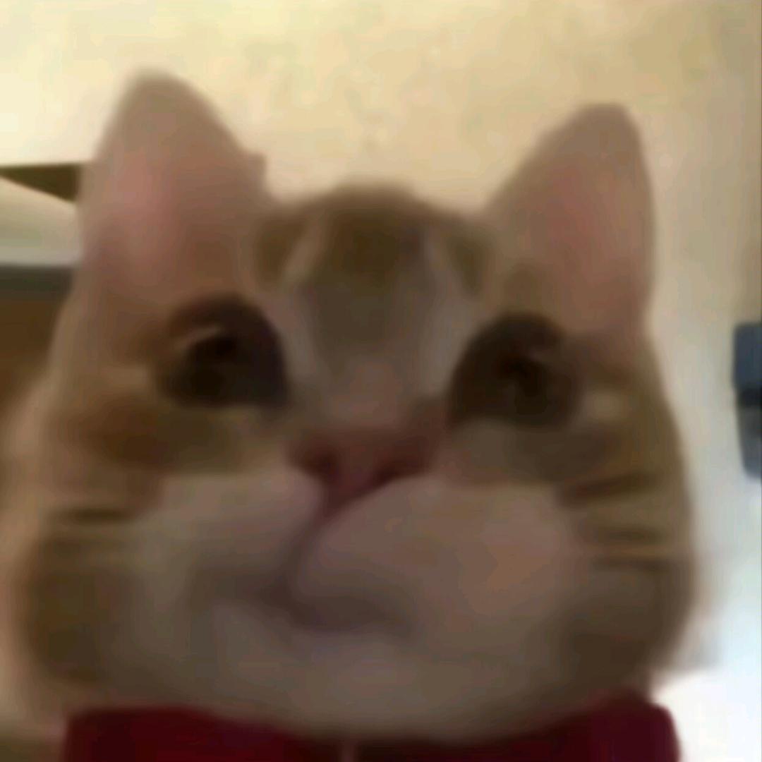 蛋辉