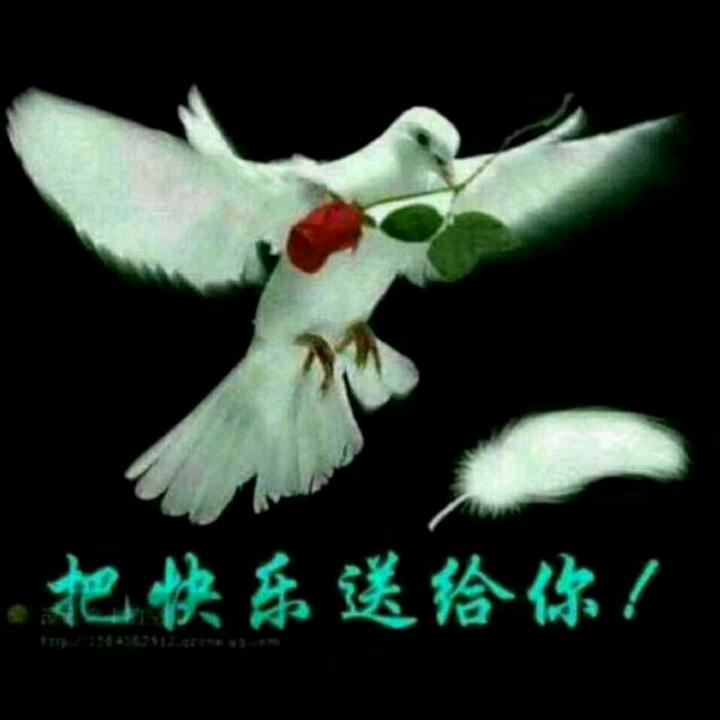 🌹好好爱自己🌹