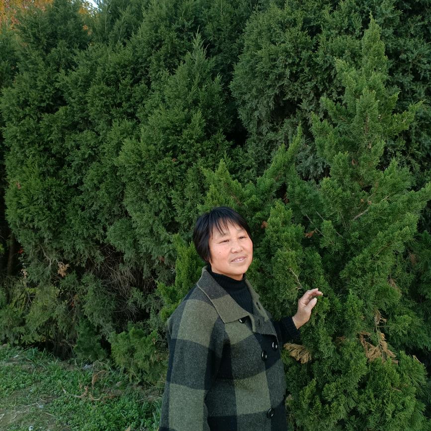 农村唐姐