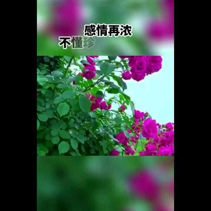 风雨同舟