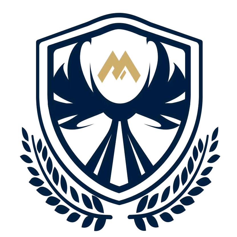 美业·美人智咨询