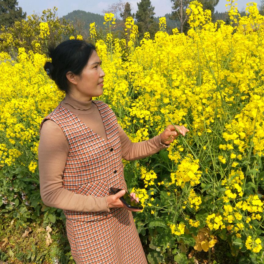 丁二.傻媳妇（天天聚茶房）