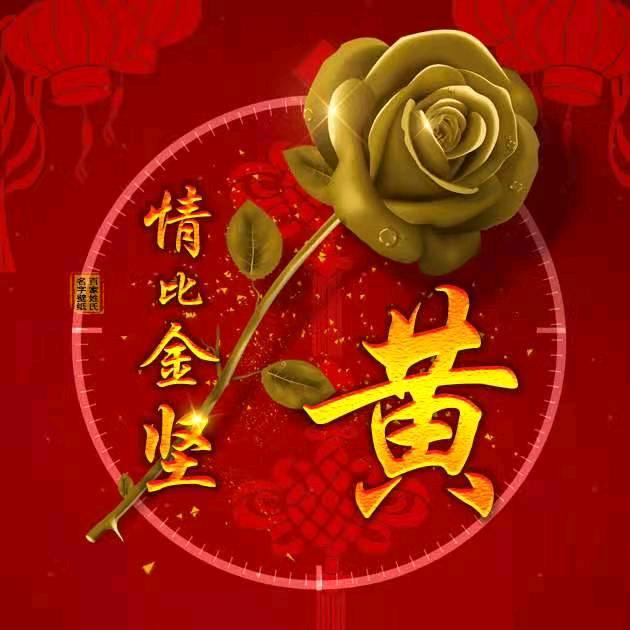 蒲公英