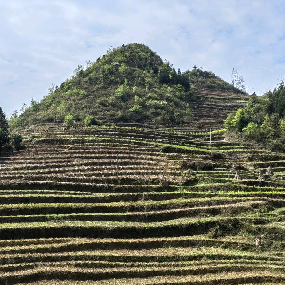 御龙地理