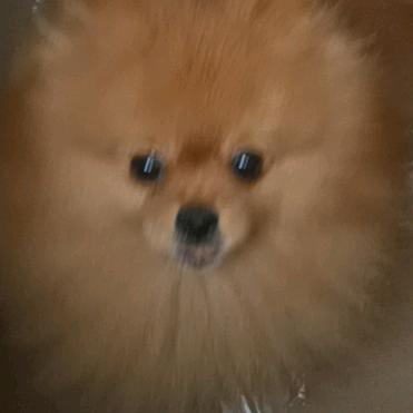泪落ソ亦倾城