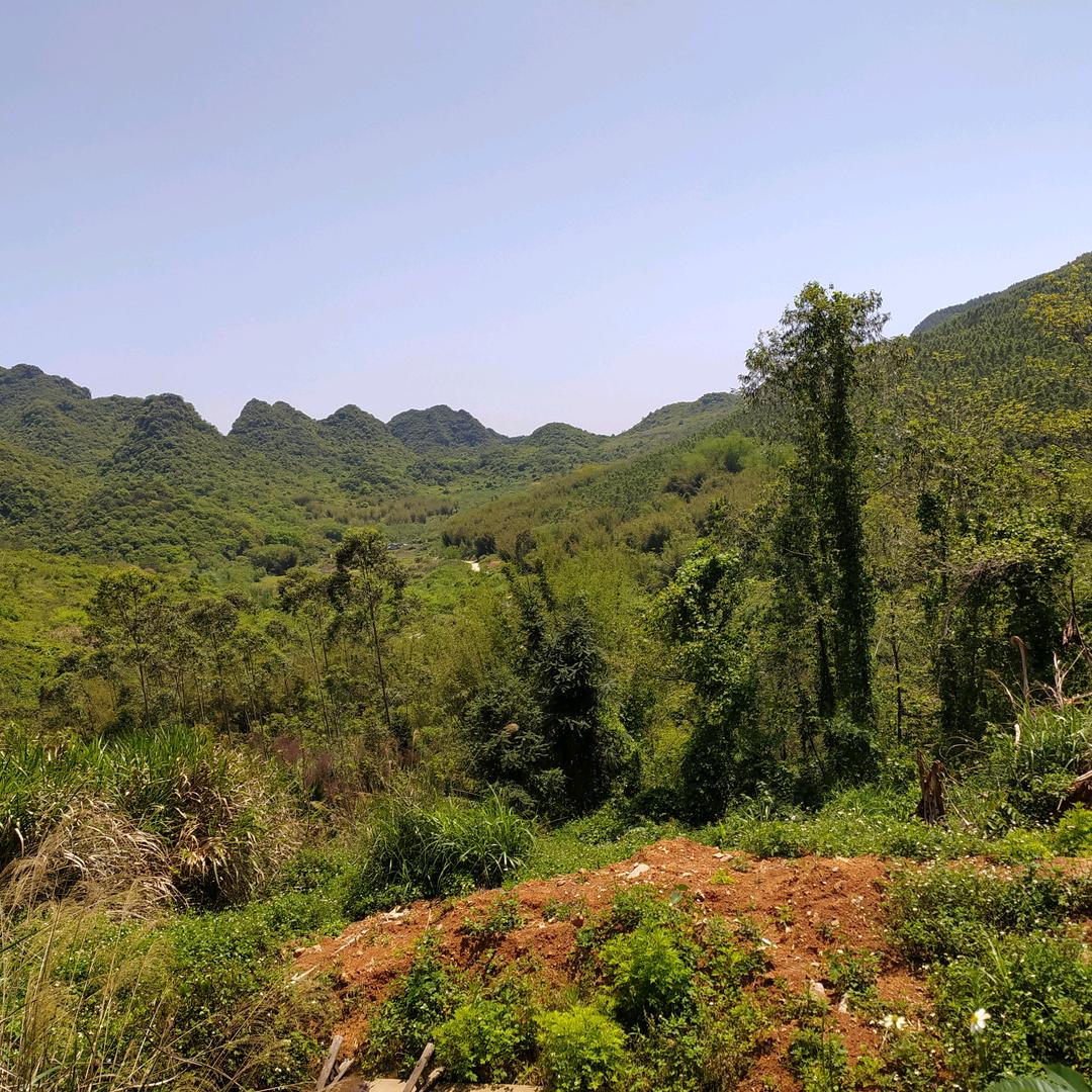 泰山  1