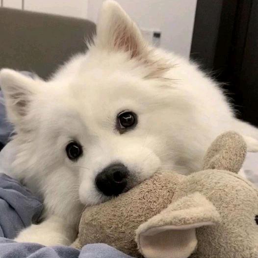 望远镜🔭  小张