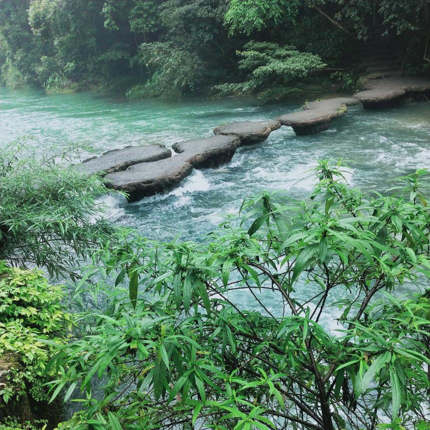 青青草