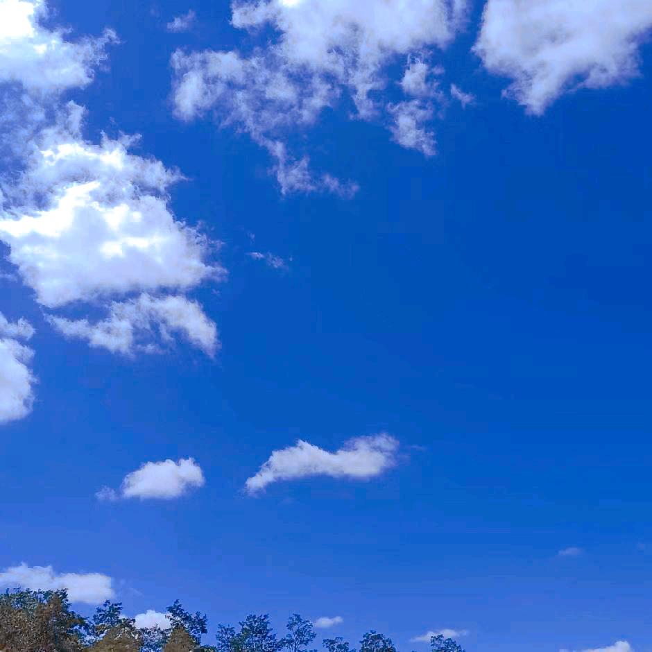 生活来源于社会