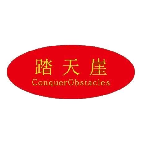 踏天崖运动用品旗舰店