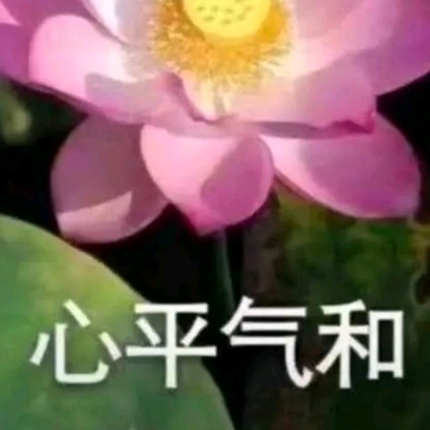 心平气和