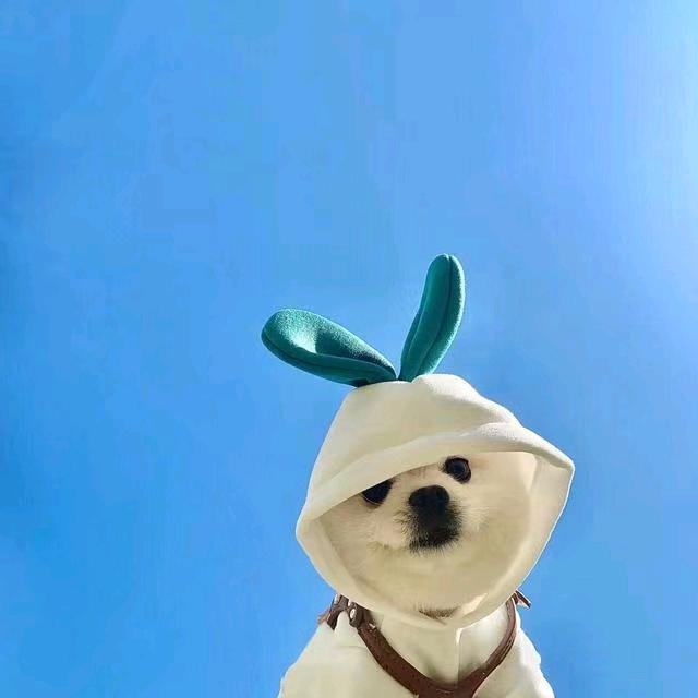 ～满～天～星～