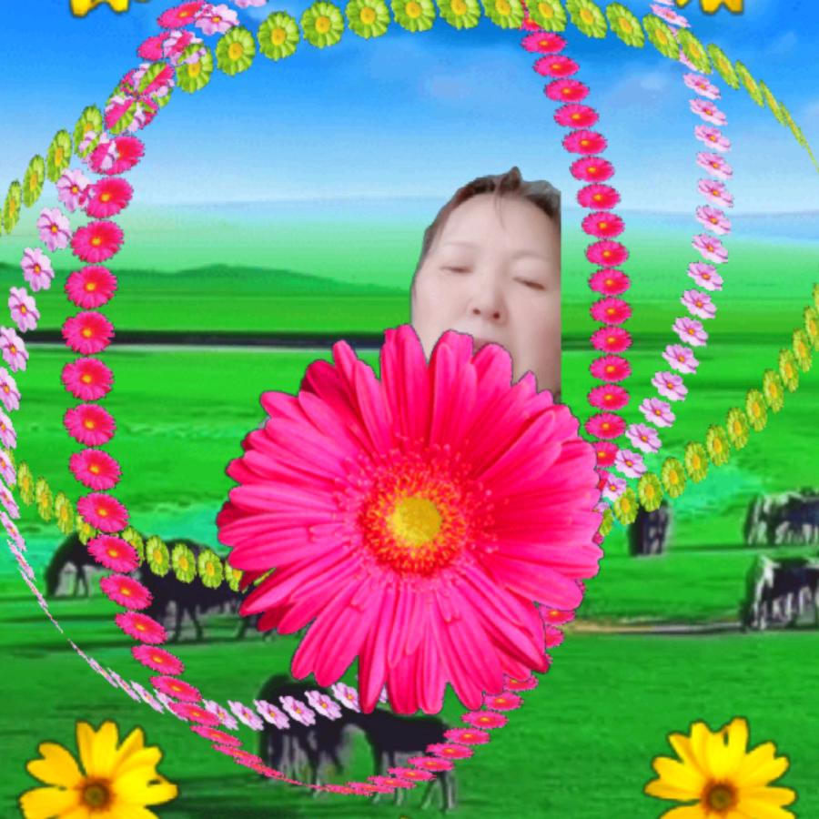 用户8310257577875