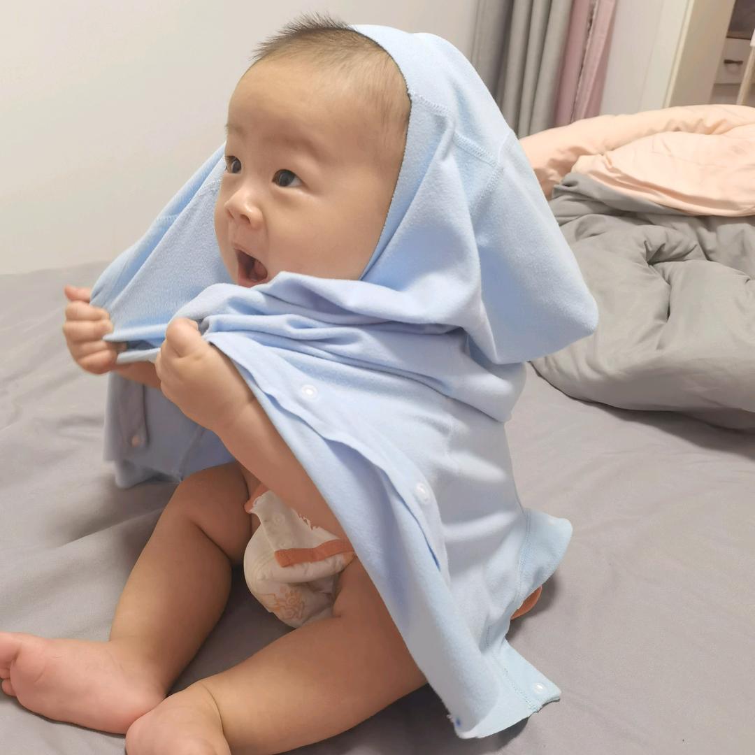 汪汪碎冰冰